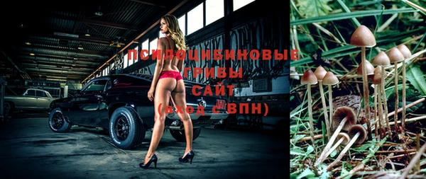 apvp Среднеколымск