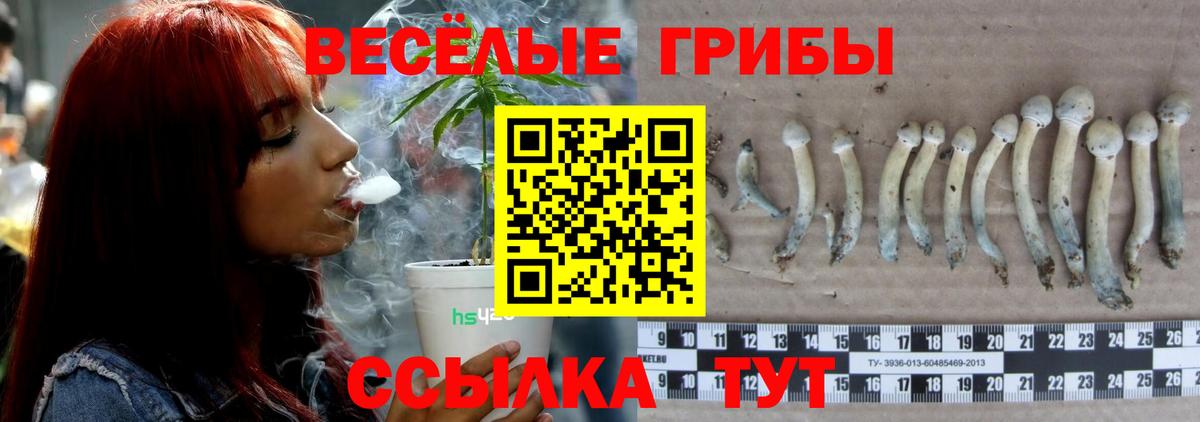 Псилоцибиновые грибы прущие грибы Миасс